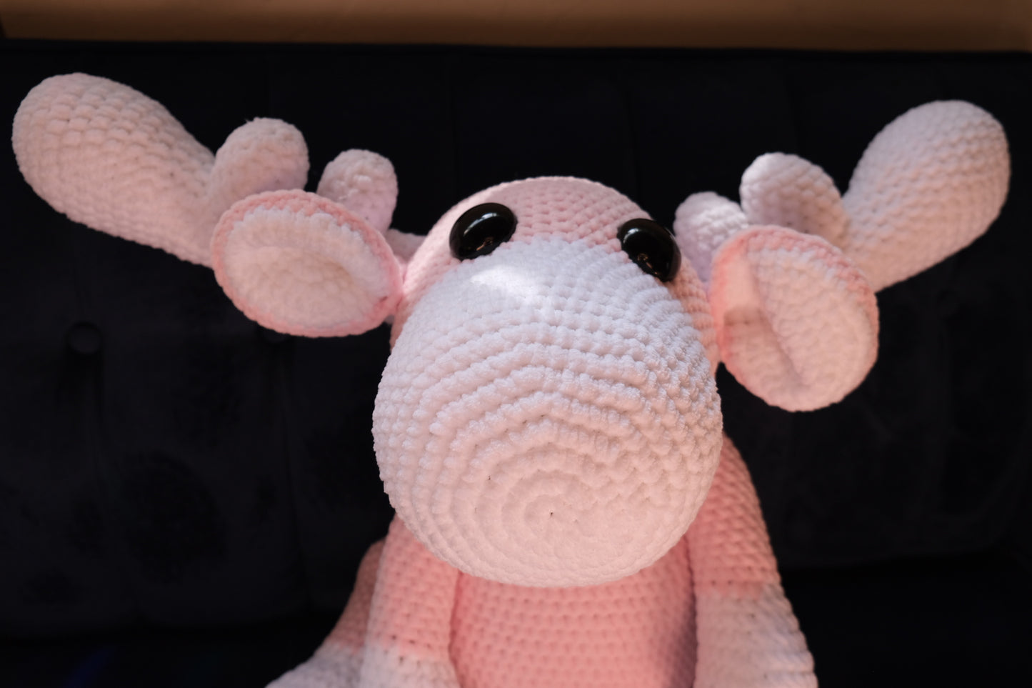 Miss Moose